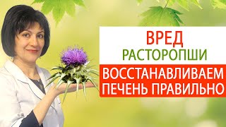 Восстанавливаем печень ПРАВИЛЬНО! Расторопша/Молочный Чертополох. Противопоказания