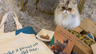 Untamed Cat Food Trial: Is It Really Better Than The Rest?