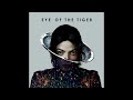 Eye of the tiger  michael jackson ia cover