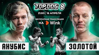 TOP DOG 8 | Анубис vs. Золотой |