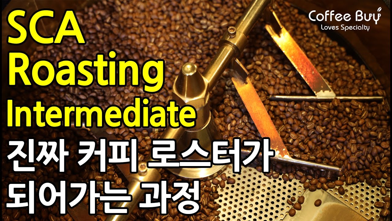 [SUB] SCA(스페셜티커피협회) 커피 로스팅 중급 자격증 교육 | SCA Coffee Roasting Intermediate ...