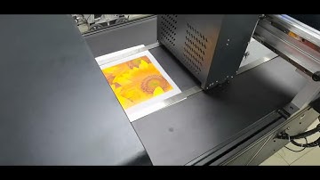 Non woven fabric bags use single pass digital printer to print color patterns