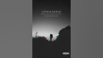 حالات واتس اب ||• القارئ : اسلام صبحي ||• سورة فصلت 🌸 #short #جيل_2004
