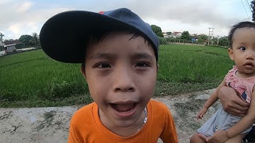 Cậu  Bé Mũ Vàng p2 | Cậu Bé Mũ Vàng Lần Đầu Làm Việc Tốt - Tippi VIPs