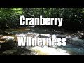 Backpacking the Cranberry Wilderness, WV