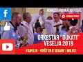 orkestar "DUKATI" Veselja 2019 - FANELIA - Krstenje Dijane i Milice