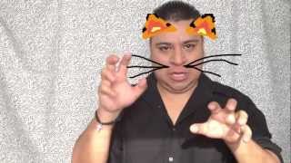 VnomasTV-Como Le Gusta a Tu Cuerpo por Carlos Vives ft Michel Telo