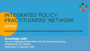 IPPN Knowledge Café: How Can Integrated Policies Deliver the UN Common Approaches