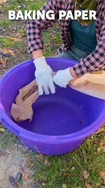 how-to-feed-farm-animals-youtube