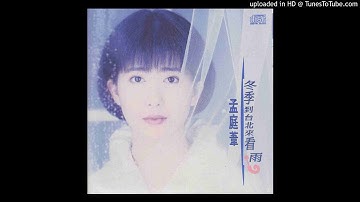 孟庭葦-無聲的雨