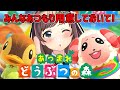 あなたの島の家具を買わせて♡バイヤーloveちゃんの旅( *´艸｀)｜あつまれどうぶつの森