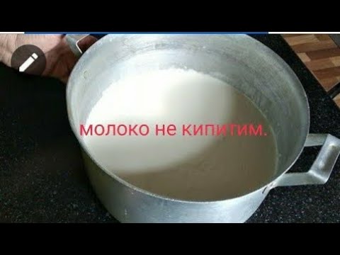 Как заквасить козье молоко в домашних условиях