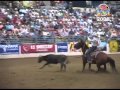 Bfi team roping top 52008