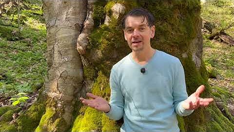 🌍 How to Build a House That Grows Your Food and Cleans Your Water