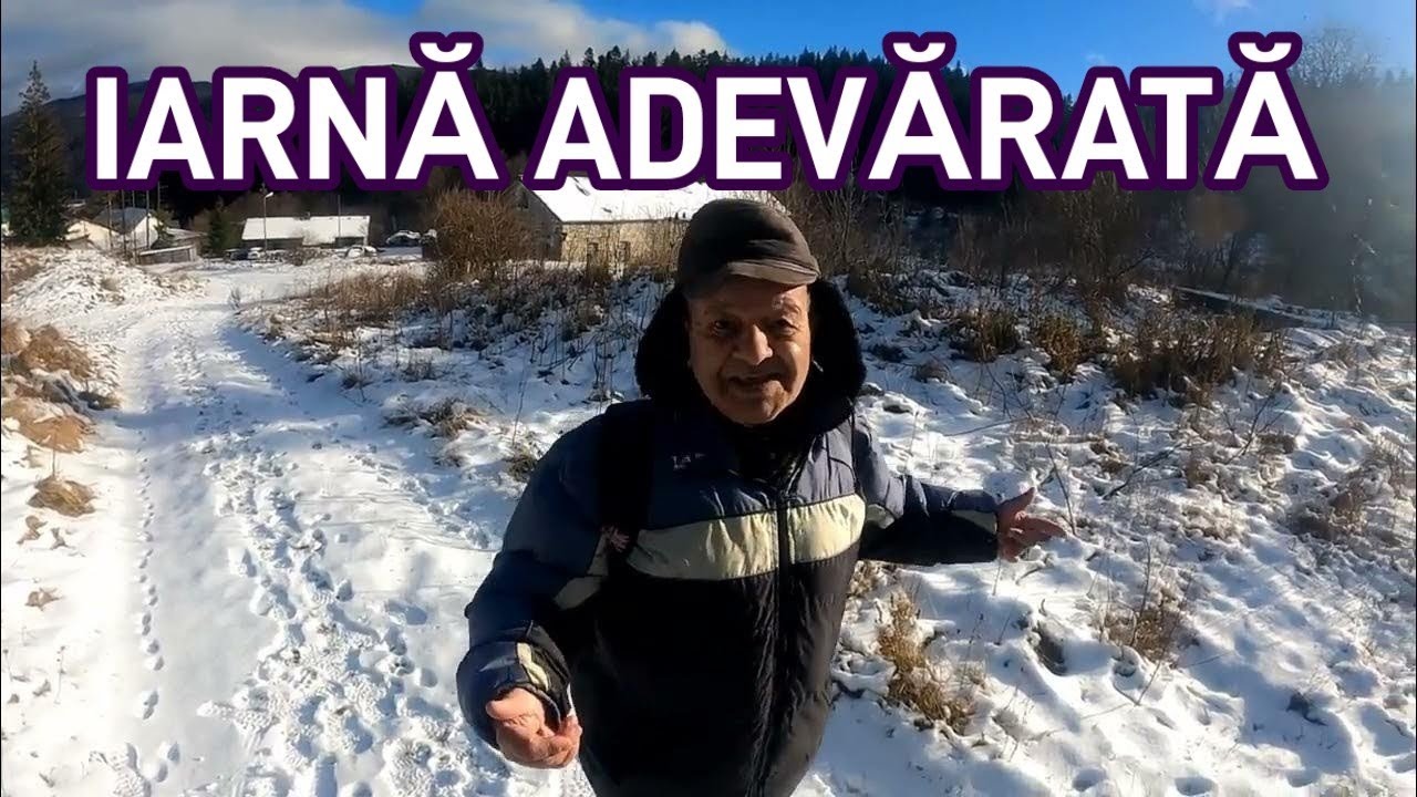 La 80 de ani TRĂIEȘTE în MUNȚI și face MIŞCARE zilnic. URȘII sunt la ei ACASĂ aici