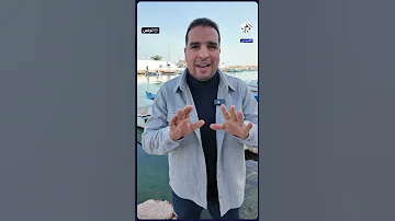 استنفار على سواحل تونس بسبب سمكة الأرنب السامة ما القصة 
