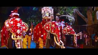 Mage Ratata Dalada Himi Saranai  Prof Sanath Nandasiri