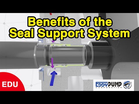 EDDY Pump - Mechanical Seal Support System Explained