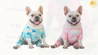 Magnificent Dog Pyjamas under $10