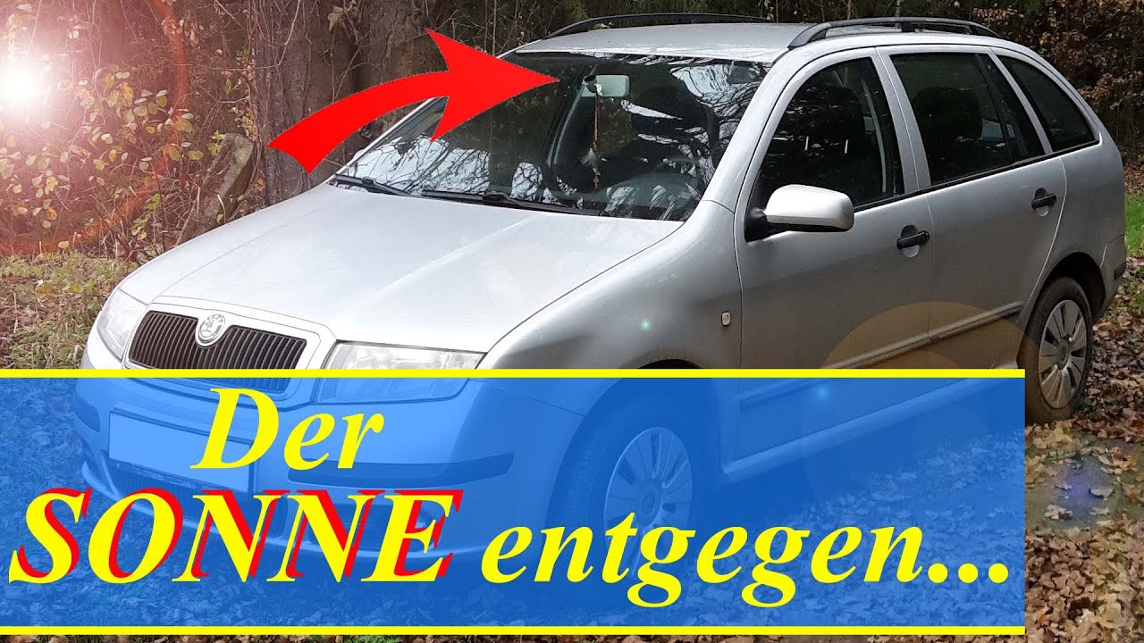 Vw/Audi/Seat/Skoda Abdeckkappe Halter für Sonnenblende hellgrau