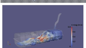 Numerical simulation of fuel sloshing within the reservoir of a car