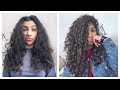 Curly Hair Routine 🌈 Maximum Definition