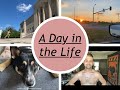 MY GAY VEGAN LIFE // MEET MY HUSBAND &amp; DOGS // DRIVE-IN MOVIE // A DAY IN THE LIFE // SUMMER FUN