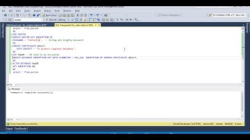 Look at SQL Server Transparent Data Encryption