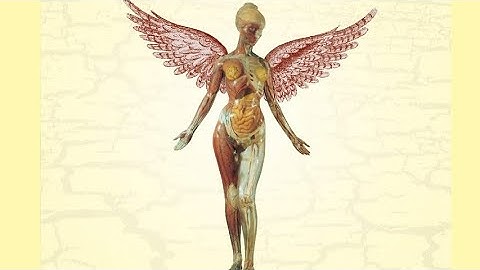 Thumbnail of Nirvana - All Apologies (Slowed & Reverb)