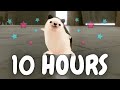 Mother Father Gentleman Hedgehog Dancing Meme 10 Hours Mother Father Gentleman Hedgehog Dancing Meme 10 Hours