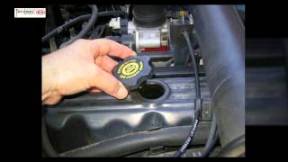 Oil Change New Vs Old Cars - Paterson Kia Dealer