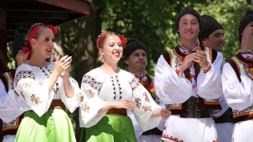 25th Annual Ukrainian Festival