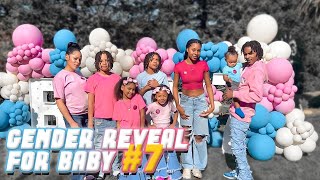 Gender Reveal For Baby #7 | Is It Boy Or Girl?