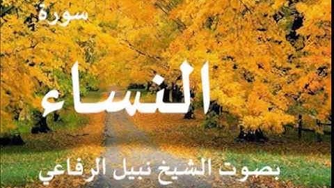 سورة النساء بصوت الشيخ / نبيل الرفاعي 4