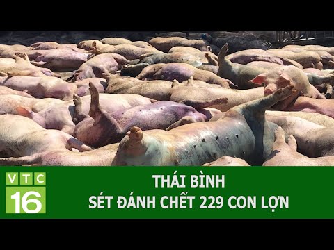 Tai Nạn Ở Hà Tĩnh Hôm Nay