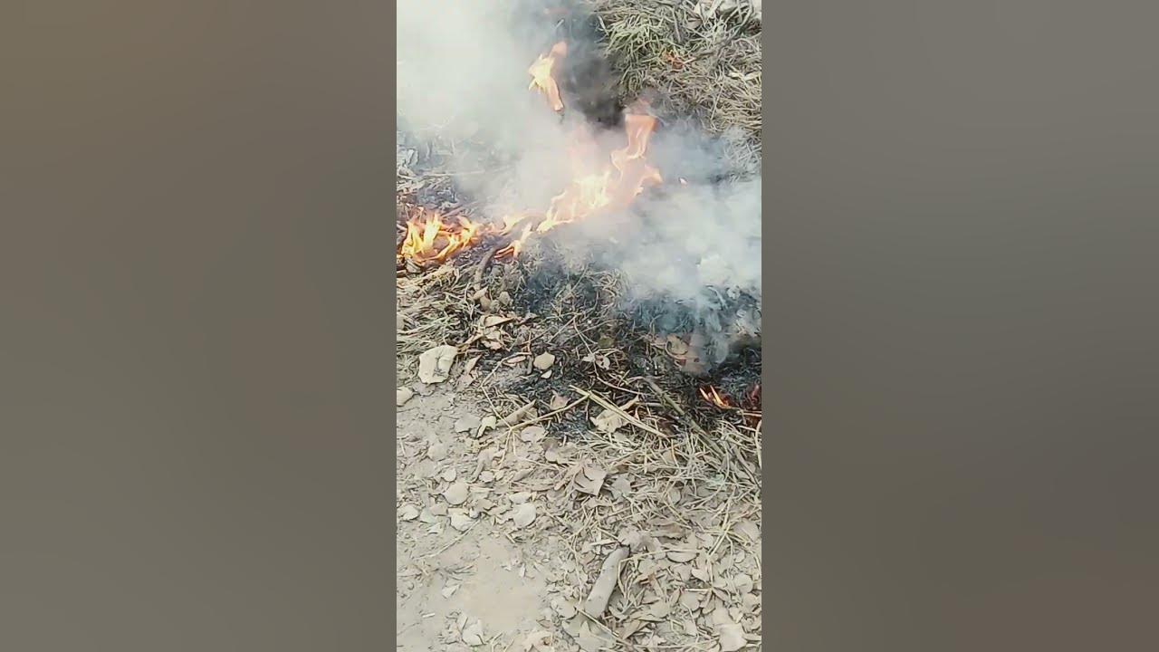 52 bars Karan aujla karanaujla 52bars YouTube 52 bars Karan aujla karanaujla 52bars YouTube