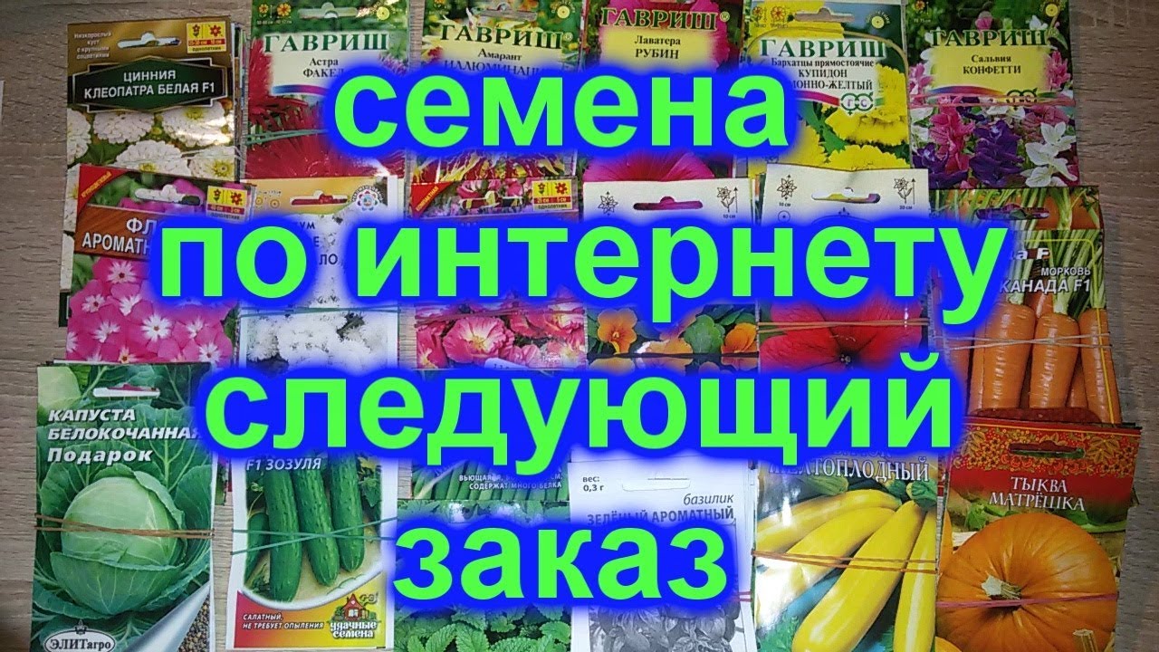 Семена Интернет Магазин Отзывы Покупателей