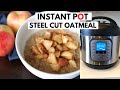 Instant pot steel cut oatmeal  apple and cinnamon steel cut oats recipe