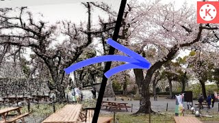 Drawing Transition In Kinemaster | Drawing To Video  Transition | How To Do Drawing Transition Video screenshot 3