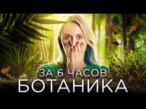 Вся ботаника за 6 часов | Биология ЕГЭ — Напольская Ксения