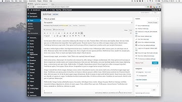 Setting the Featured Image with a Shortcode in the Get Noticed Theme