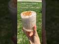 Frozen Cinnamon Vanilla Coffee