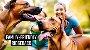 Rhodesian Ridgeback: The Ultimate Guide to Family Friendliness