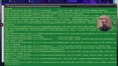 Elastic - a brief demo using curl and command line.