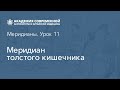 Меридиан толстого кишечника. Дистанционный курс рефлексотерапии. Онлайн Академия акупунктуры Акумед.