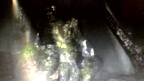 Legend of Dragoon Fan Dub