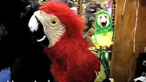 HAUNTEDPROPS.COM ANIMATED TALKING PARROT