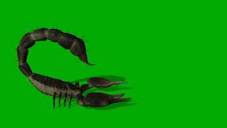 Giant Scorpion Spawn Walk Run |HD 63s | Free Green Screen 3D Animation