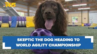 Centralia dog, handler heading to world agility championship