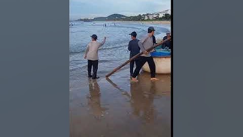Ngư dân bắt cá bằng thuyền thúng màn vào bờ bán sáng sớm #dulich #vietnam #muine #travel #seafishing